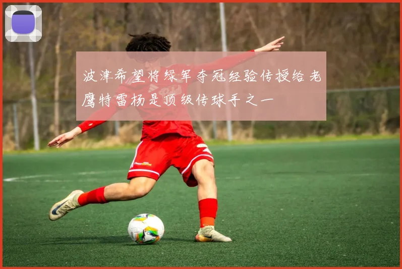 波津希望将绿军夺冠经验传授给老鹰特雷杨是顶级传球手之一