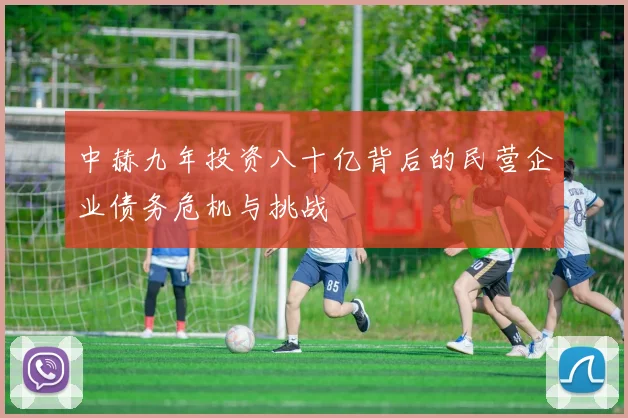 中赫九年投资八十亿背后的民营企业债务危机与挑战